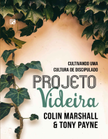 PROJETO Videira.pdf